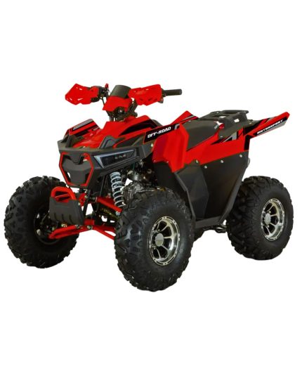 Квадроцикл Forte AFF-125 Pro