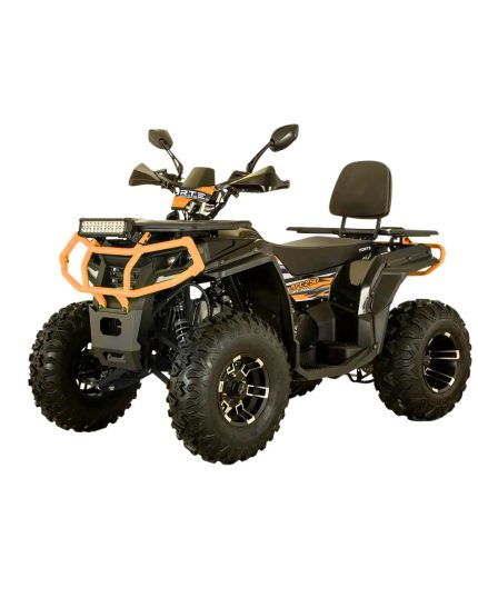 Квадроцикл Forte AFС-250 Pro